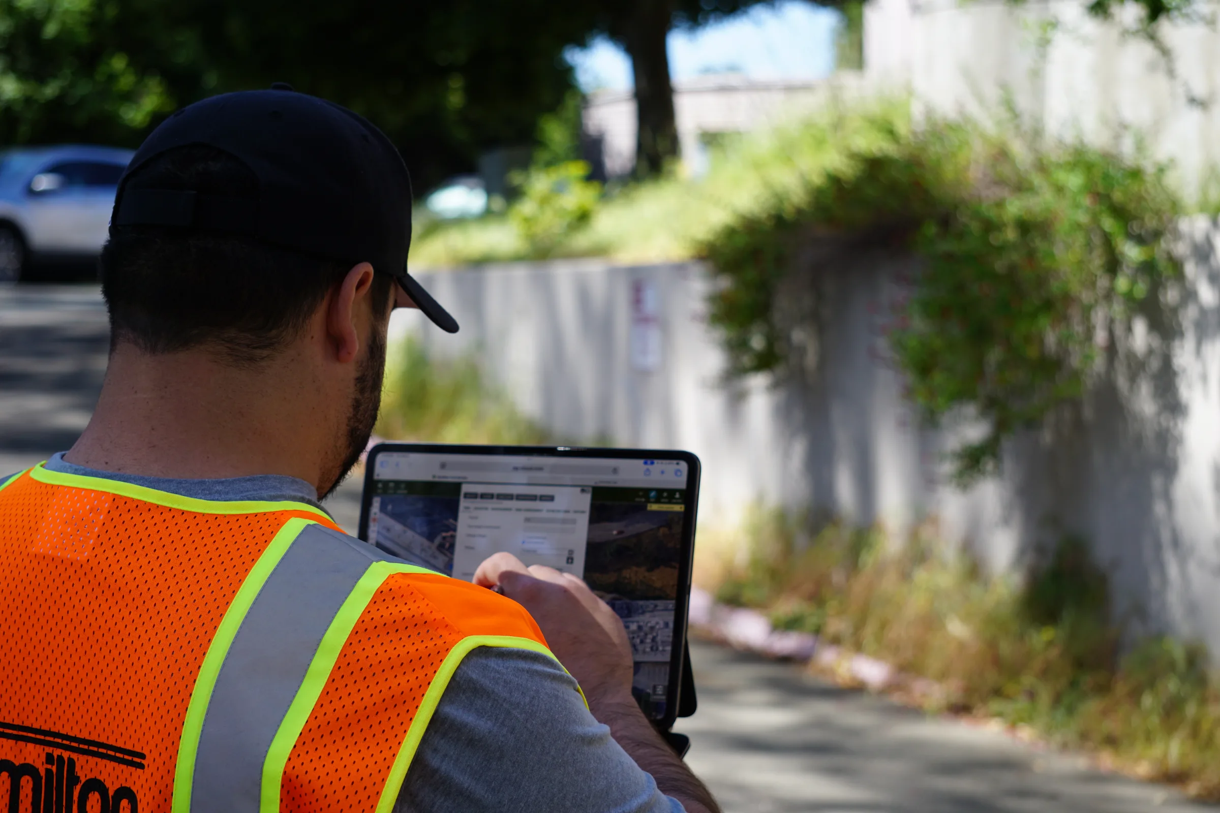 Arborist taking tree inventory on Government Land